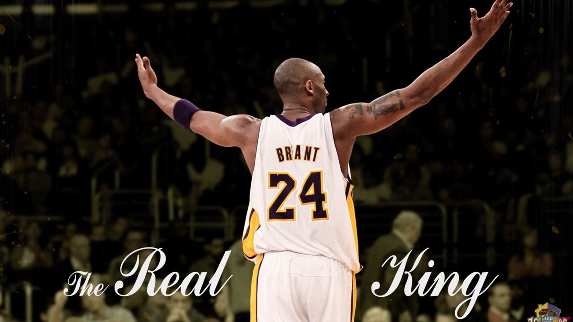 新晋教练的“秘密武器”:如何打造铁血团队,铁血教练经典台词